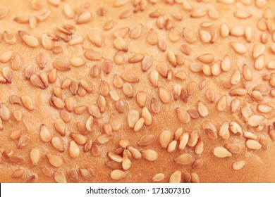 Bun With Sesame Seeds. Close Up. Whole Background.