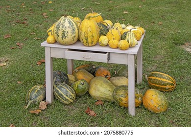 A Bunch Assorted Gourds, Zucchini, Pumpkin And Winter Squash
