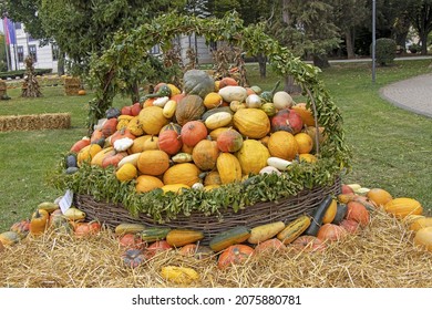 A Bunch Assorted Gourds, Zucchini, Pumpkin And Winter Squash
