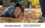 A bunch of autumn leaves and a woman is doing a general cleaning in the garden. In autumn, people clean the lawn of dry leaves. Gardening. Garden cleaning.