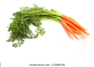 Bunch Of Baby Carrots Isolated On White 