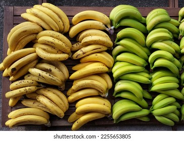 Bunch of bananas with different stages of ripening, photography in banana crops Banana fermentation

Photos formats