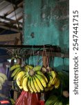 A bunch of bananas hanging at a fruit vendor