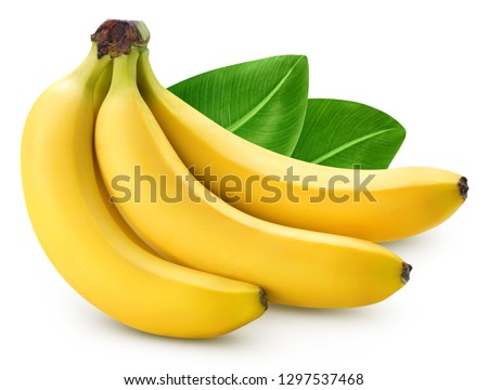 Bunch of bananas isolated on white background. Bananas with leaves Clipping Path. Professional food photography
