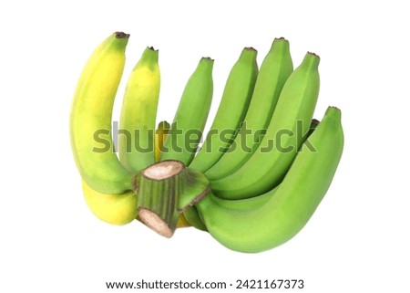 Bunch of bananas, isolated on white background. Concept, agriculture crop. Organic fruits. Cavendish Bananas. Delicious, good smell and good for health. Famous tropical fruits in Thailand. 