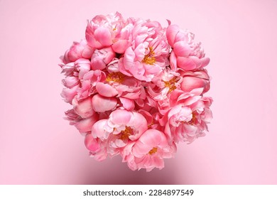 Bunch of beautiful peonies on pink background, top view
