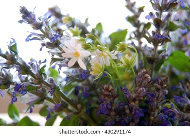 Bunch Of Blue Sage Flowers In Vase