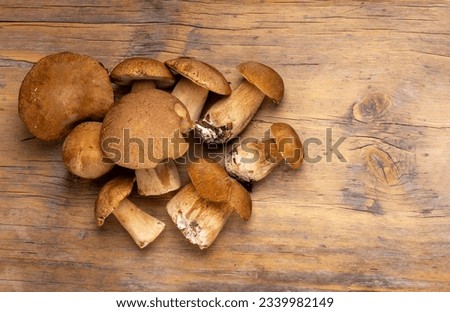 a bunch of boletus porcini mushrooms on a wooden table top view with copy space