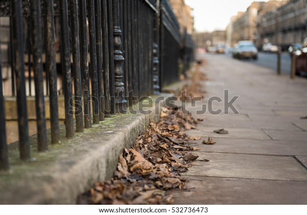 A bunch\
of brown dry leaves gather on the side of the pavement near a black\
metallic fence, creating a typical autumn scene in the streets of\
Edinburgh City Center, Scotland,\
UK.