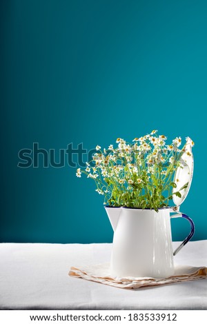 Similar – Fresh chamomile flowers in teapot on blue background