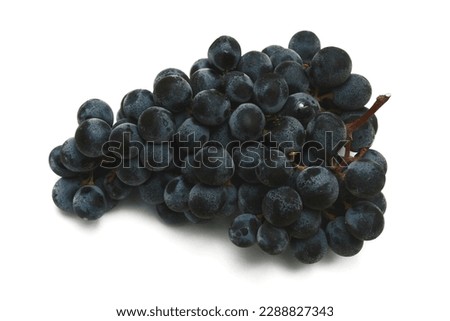 A bunch of Campbell Early grapes