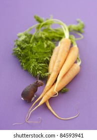 Bunch of carrots