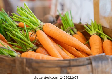 Bunch of carrots in basket. Fresh carrots bunch. Fresh organic carrots. - Powered by Shutterstock