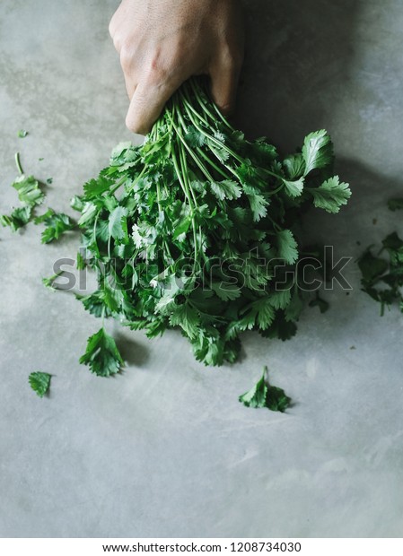 Bunch of cilantro on a\
concrete table