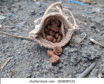 a bunch of coffee beans in a small sack