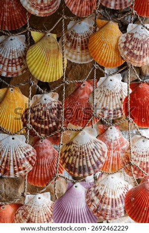 a bunch of colored shells on strings