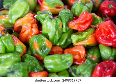 Bunch of colorful ripe habanero peppers in a bin at farmers' market - Powered by Shutterstock