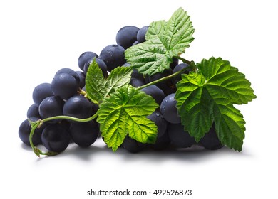 248 Black corinth grapes Images, Stock Photos & Vectors | Shutterstock