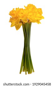 Daff Images, Stock Photos & Vectors | Shutterstock