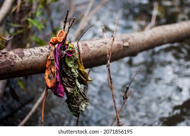 A Bunch Of Dirty Deflated Party Balloons Caught On A Tree Branch With Blurred Nature Background