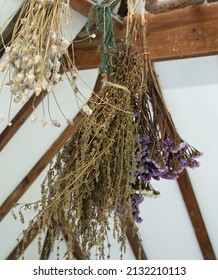 Bunch of dried flowers and herbs with muted soft colours hanging upside down inside from a wooden beamed ceiling with white panels