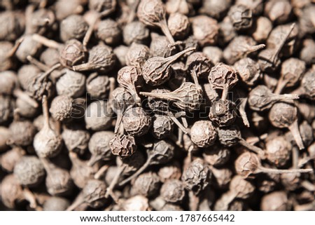 Similar – Dried poppy seed capsules on an old metal plate