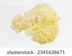 
Bunch of dry snow or white fungus, Tremella fuciformis, isolated. Also known as snow ear, white jelly mushroom or white cloud ears, it is valued in Chinese cuisine for its nutritious properties.