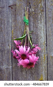Bunch of echinacea flowers hanging on wooden old rustic background