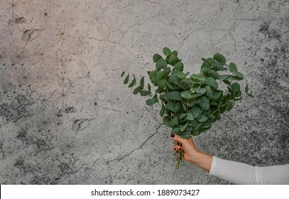 A Bunch Of Eucalyptus In Heart Shape Hold By A Woman's Hand Front Of A Cement Wall