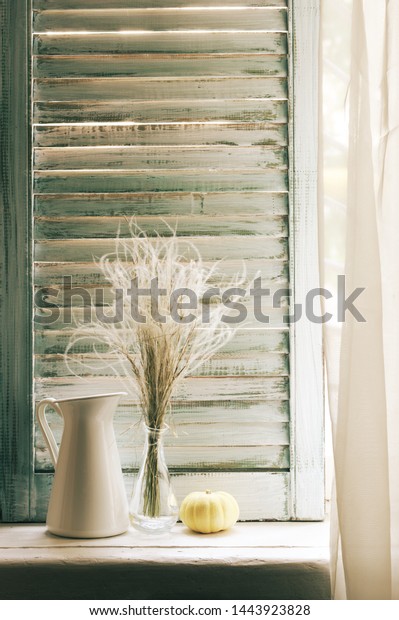 Bunch Feather Grass Vase Jug Pumpkin Royalty Free Stock Image