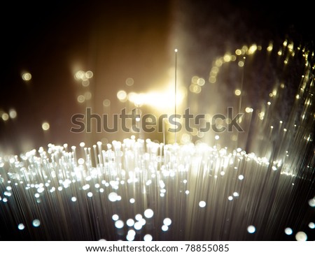 Bunch of fiber optics