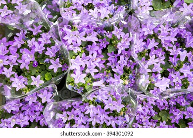 Bunch of flowers. Close-up.
