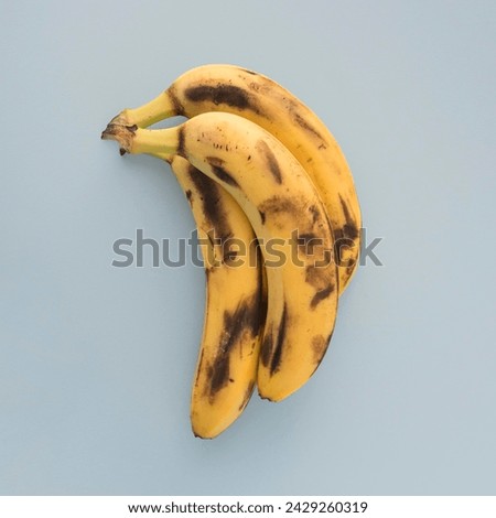 Bunch of fresh bananas isolated on gray background