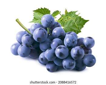 2,143 Malbec grapes Images, Stock Photos & Vectors | Shutterstock