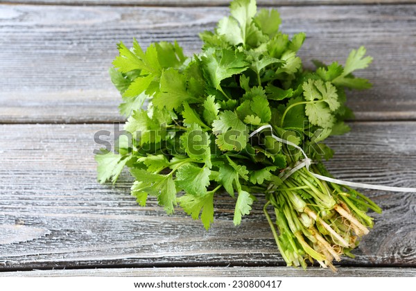 bunch of\
fresh cilantro on the boards, fresh\
herbs
