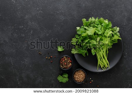 
A bunch of fresh cilantro, salt, pepper on a black background, top view, copy space.