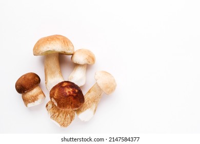 Bunch of fresh forest porcini mushrooms on a white surface close up, soft focus, top view, copy space	 - Shutterstock ID 2147584377