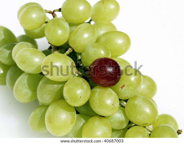 bunch-fresh-green-grapes-one-600w-406870