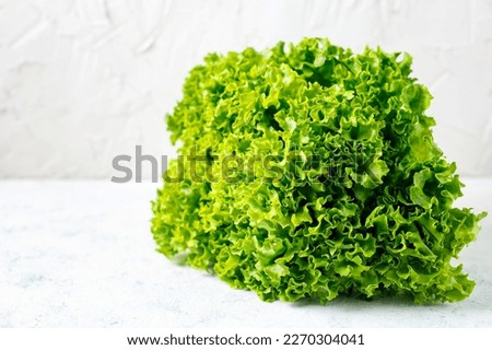 Bunch of fresh green Lettuce salad on white background. Closeup. Copyspace
