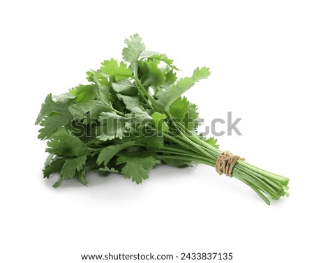 Bunch of fresh green organic cilantro isolated on white