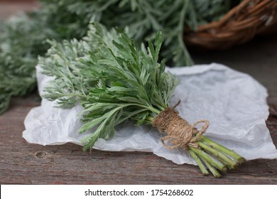 Bunch of fresh mugwort (Artemisia absinthium, absinthe, absinthium, sagebrush, mugwort). Medicinal plant
