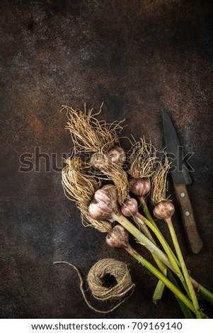 Similar – Image, Stock Photo bunch of fresh young garlic