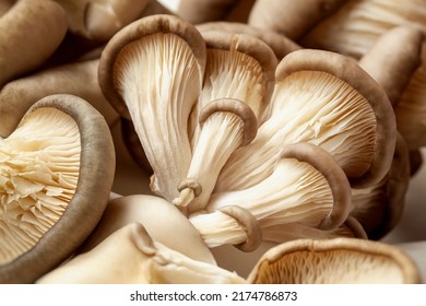 Bunch of fresh Oyster mushrooms closeup. Vegetarian food, healthy diet mushroom close up - Shutterstock ID 2174786873