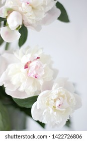 Bunch of Fresh Peonies in a Vase. Wedding Flowers Bouquet. Interior Decoration.