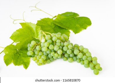 champagne grapes