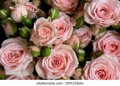 Bunch of fresh pink roses floral background - Powered by Shutterstock