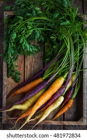 bunch of fresh rainbow carrots , top view