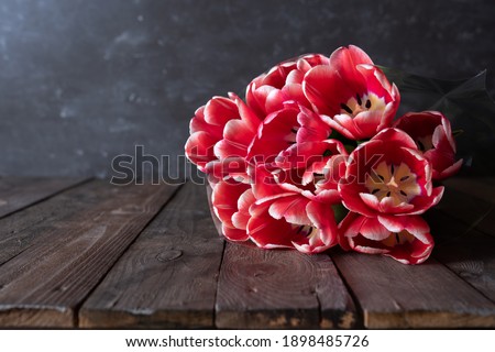 Bunch of fresh red tulips on wooden vintage planks in front of gray concrete wall. Spring background for motherday and easter with space for text.