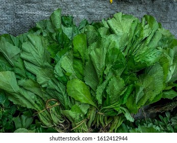 2,191 Palak leaf Images, Stock Photos & Vectors | Shutterstock