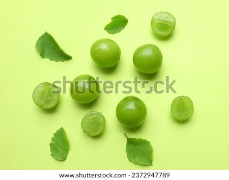 bunch of fresh sweet green shine muscat (vitis vinifera) grape and leaf isolate on green background .green grapes. japanese grapes.grapes green taste sweet growing natural